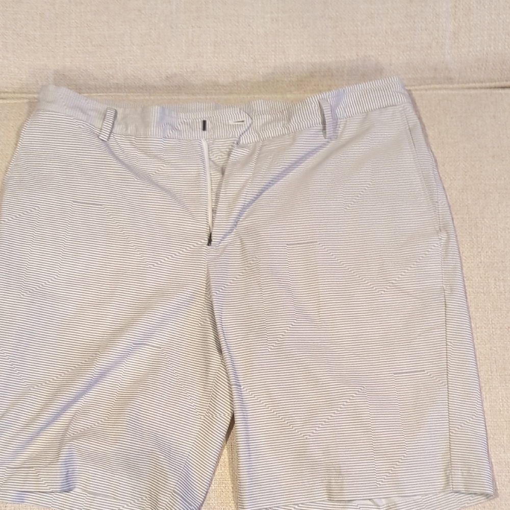 Nike Men's Pinstriped Light Gray Shorts